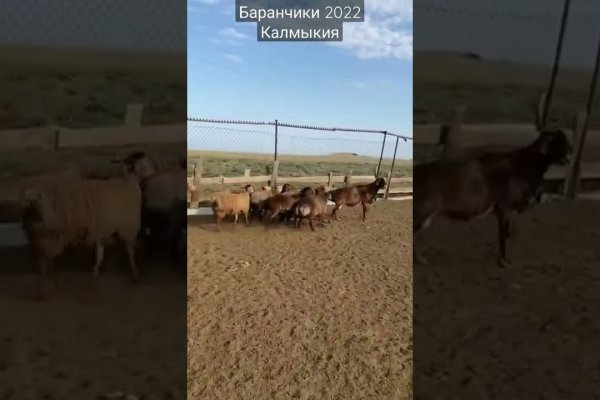 Зеркало вход кракен